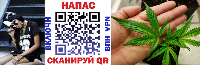 Магазины продажи наркотиков Отрадное Метамфетамин  Гашиш  Бошки Шишки  АМФ  КОКАИН  СОЛЬ 