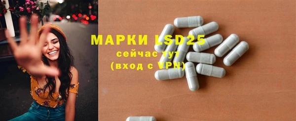 прущие грибы Вязники