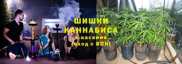 прущие грибы Вязники