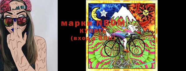 прущие грибы Вязники