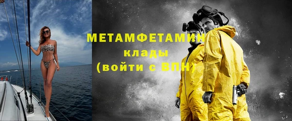 прущие грибы Вязники