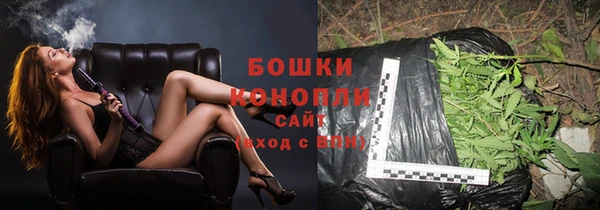 гашик Сосновоборск