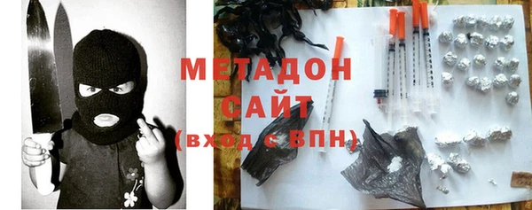 прущие грибы Вязники